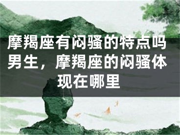 摩羯座有闷骚的特点吗男生，摩羯座的闷骚体现在哪里