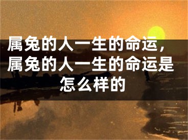 属兔的人一生的命运，属兔的人一生的命运是怎么样的