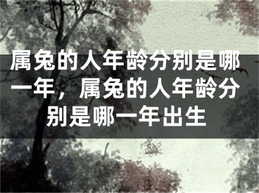 属兔的人年龄分别是哪一年，属兔的人年龄分别是哪一年出生