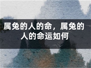 属兔的人的命，属兔的人的命运如何