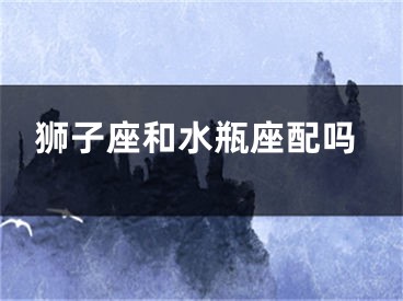 狮子座和水瓶座配吗