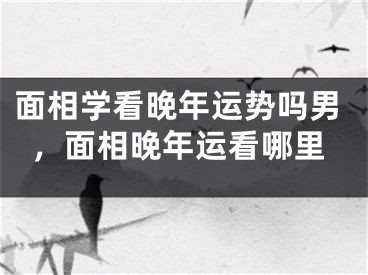 面相学看晚年运势吗男，面相晚年运看哪里