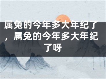 属兔的今年多大年纪了，属兔的今年多大年纪了呀