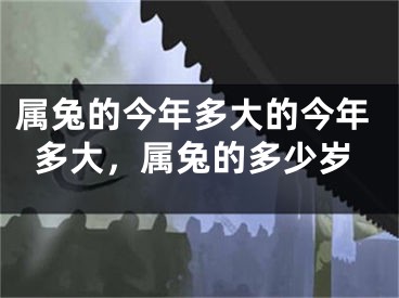 属兔的今年多大的今年多大，属兔的多少岁