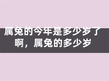 属兔的今年是多少岁了啊，属兔的多少岁