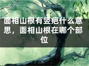 面相山根有竖疤什么意思，面相山根在哪个部位