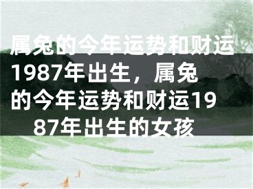 属兔的今年运势和财运1987年出生，属兔的今年运势和财运1987年出生的女孩