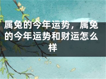 属兔的今年运势，属兔的今年运势和财运怎么样