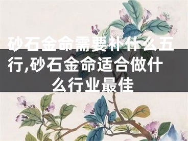 砂石金命需要补什么五行,砂石金命适合做什么行业最佳