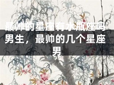 最帅的星座有水瓶座吗男生，最帅的几个星座男