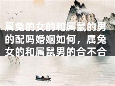 属兔的女的和属鼠的男的配吗婚姻如何，属兔女的和属鼠男的合不合