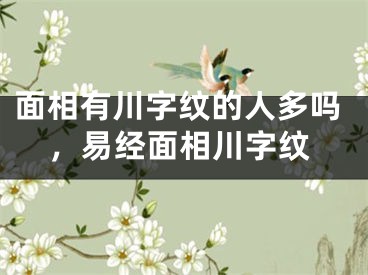 面相有川字纹的人多吗，易经面相川字纹