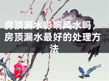房顶漏水影响风水吗,房顶漏水最好的处理方法