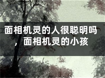 面相机灵的人很聪明吗,面相机灵的小孩