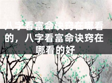 八字看富命诀窍在哪看的，八字看富命诀窍在哪看的好