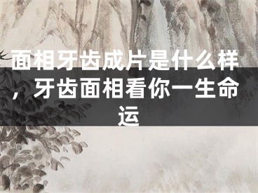 面相牙齿成片是什么样，牙齿面相看你一生命运