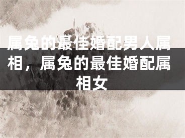 属兔的最佳婚配男人属相，属兔的最佳婚配属相女