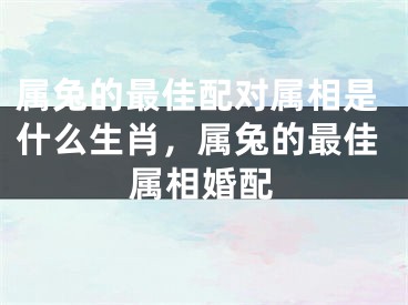 属兔的最佳配对属相是什么生肖，属兔的最佳属相婚配
