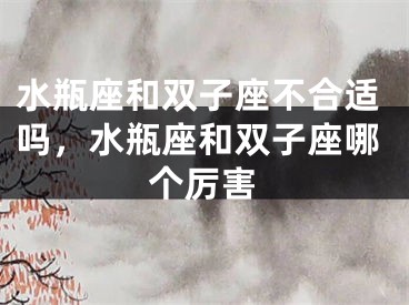 水瓶座和双子座不合适吗，水瓶座和双子座哪个厉害