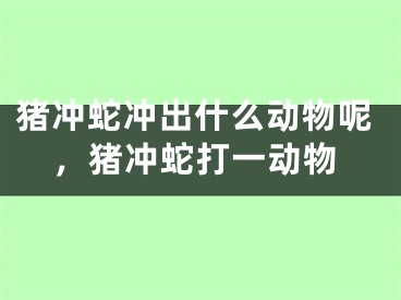 猪冲蛇冲出什么动物呢，猪冲蛇打一动物