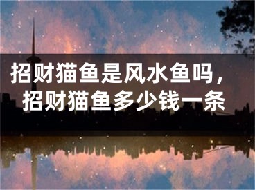 招财猫鱼是风水鱼吗，招财猫鱼多少钱一条