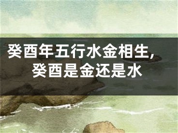 癸酉年五行水金相生,癸酉是金还是水