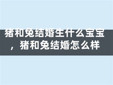 猪和兔结婚生什么宝宝，猪和兔结婚怎么样