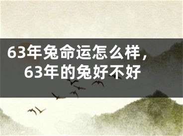 63年兔命运怎么样，63年的兔好不好