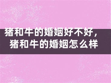 猪和牛的婚姻好不好，猪和牛的婚姻怎么样
