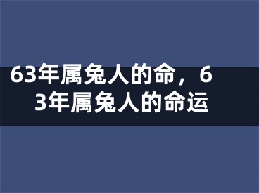 63年属兔人的命，63年属兔人的命运