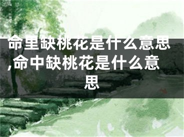 命里缺桃花是什么意思,命中缺桃花是什么意思