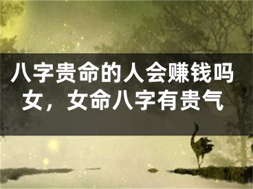 八字贵命的人会赚钱吗女，女命八字有贵气