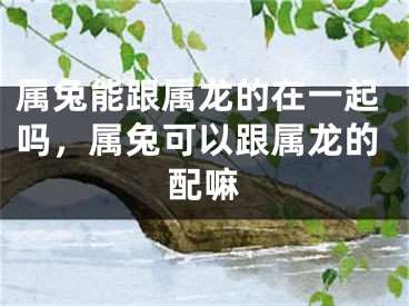 属兔能跟属龙的在一起吗,属兔可以跟属龙的配嘛