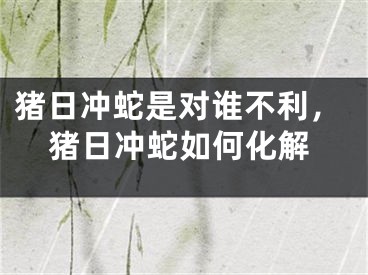 猪日冲蛇是对谁不利，猪日冲蛇如何化解