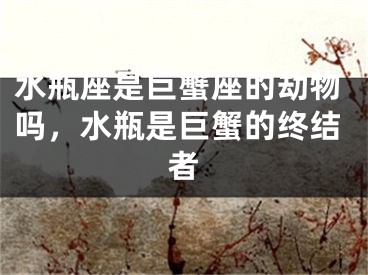 水瓶座是巨蟹座的劫物吗，水瓶是巨蟹的终结者