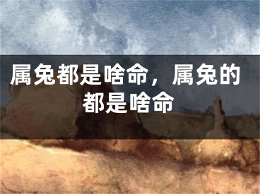 属兔都是啥命，属兔的都是啥命