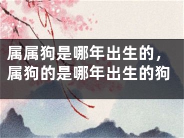 属属狗是哪年出生的，属狗的是哪年出生的狗