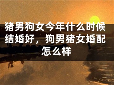猪男狗女今年什么时候结婚好，狗男猪女婚配怎么样