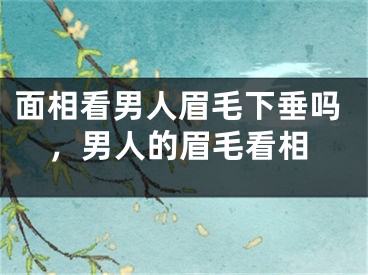 面相看男人眉毛下垂吗，男人的眉毛看相