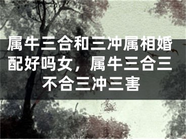 属牛三合和三冲属相婚配好吗女，属牛三合三不合三冲三害