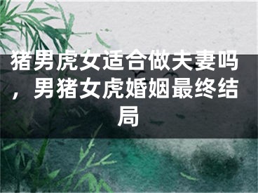 猪男虎女适合做夫妻吗，男猪女虎婚姻最终结局