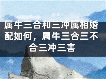 属牛三合和三冲属相婚配如何，属牛三合三不合三冲三害