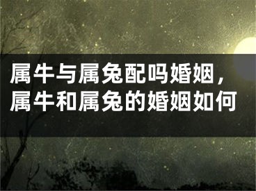 属牛与属兔配吗婚姻，属牛和属兔的婚姻如何