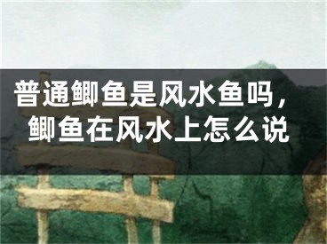 普通鲫鱼是风水鱼吗，鲫鱼在风水上怎么说