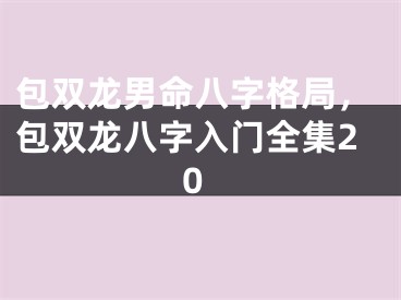 包双龙男命八字格局，包双龙八字入门全集20