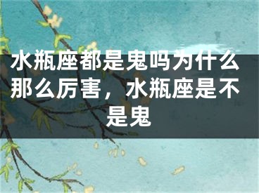 水瓶座都是鬼吗为什么那么厉害，水瓶座是不是鬼