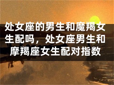 处女座的男生和魔羯女生配吗，处女座男生和摩羯座女生配对指数