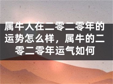 属牛人在二零二零年的运势怎么样，属牛的二零二零年运气如何