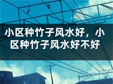 小区种竹子风水好，小区种竹子风水好不好