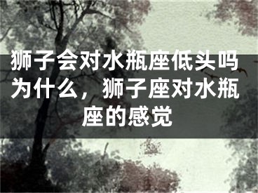 狮子会对水瓶座低头吗为什么，狮子座对水瓶座的感觉